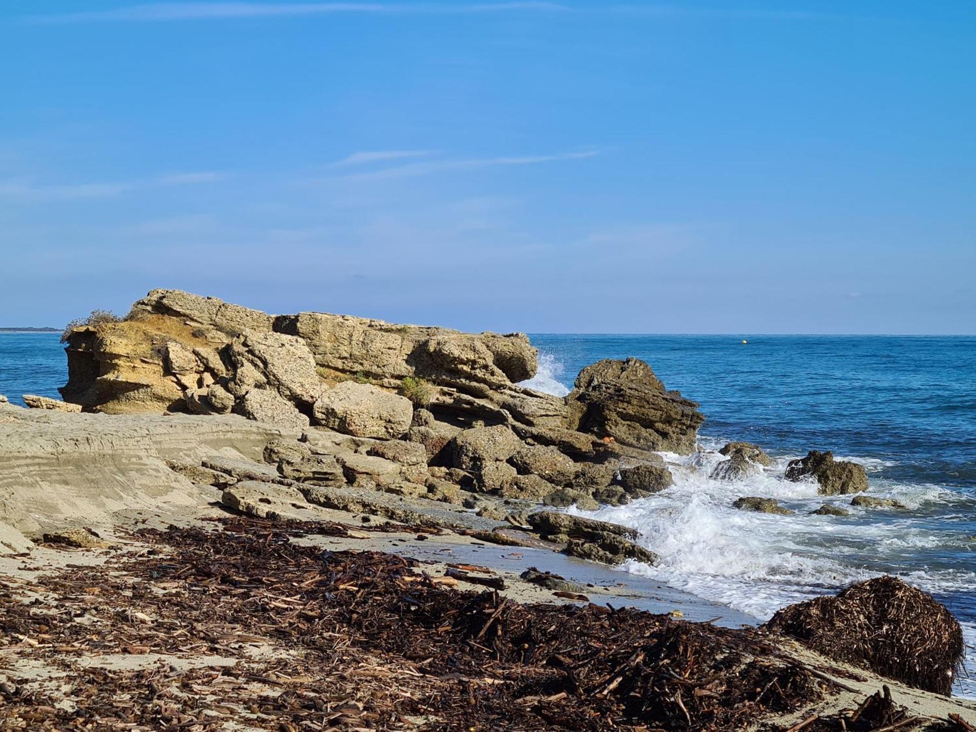 Corse, Residence Marina Di Bravone, Acces Direct Plage Linguizzetta Esterno foto